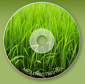 Rice Field CD cover
