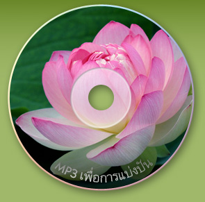 Lotus CD