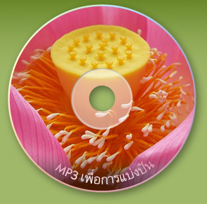 Lotus CD