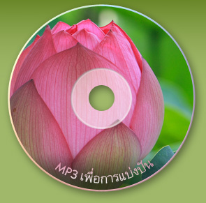 Lotus CD