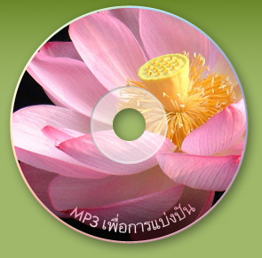 Lotus CD